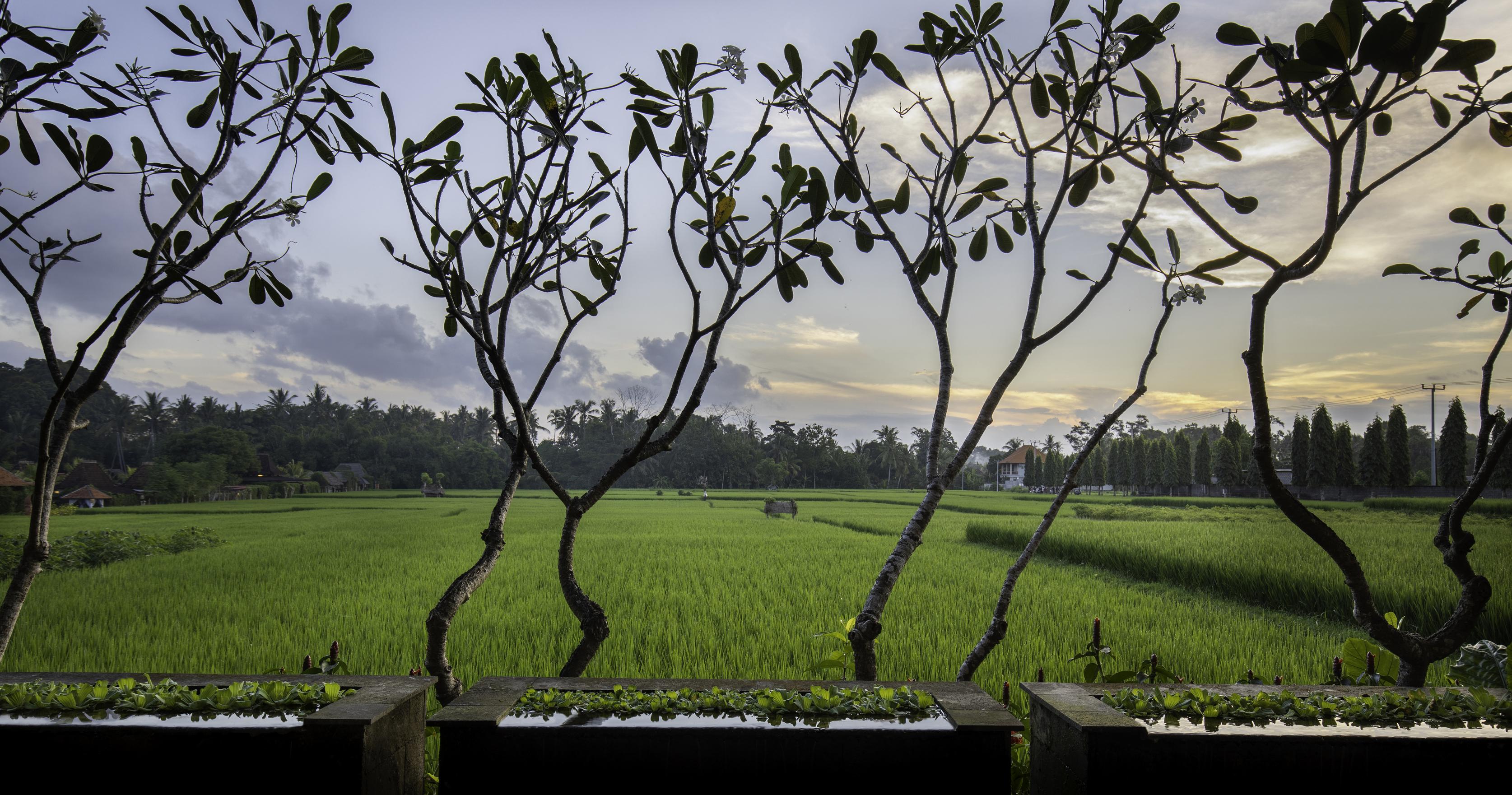 Villa Kayu Lama Ubud Exterior foto